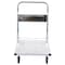 Vestil Aluminum Platform Truck W/Fold Handle AFT-36-NM - alternate 6